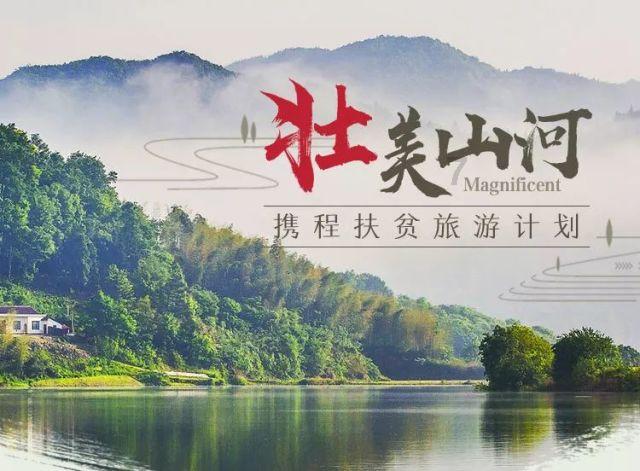 救援花卉销售员